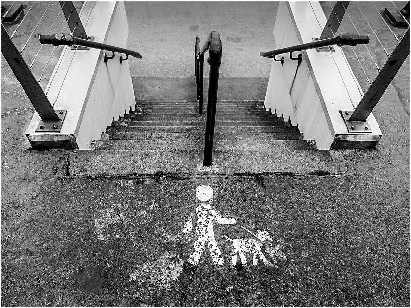 Walkies_Barry Freeman_Expo.jpg - 2019 IDPS Expo